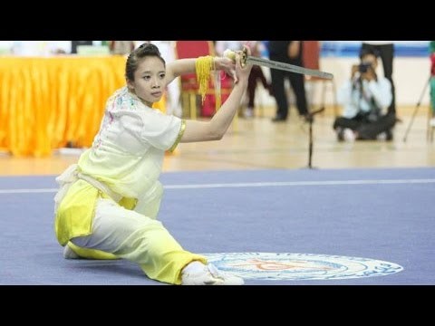 Vietnam wins 3 medals at Taolu World Cup - ảnh 1